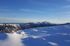 Mt Feathertop