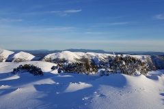 Mt Buffalo across the Razorback