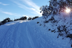The cross-country trail at the back of the Orchard