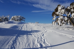 Near the resort boundary on the cross-country ski trail