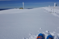 The operating position on Mt Hotham looking back to the communications tower