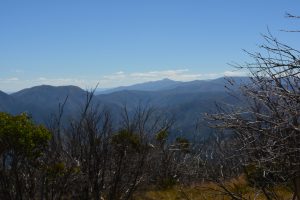 Mt Feathertop in the distance