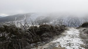 The track along the edge of the Hotham resort to MT Loch