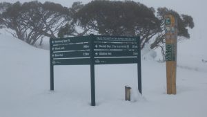 The trail intersection on the edge of the Mt Hotham resort